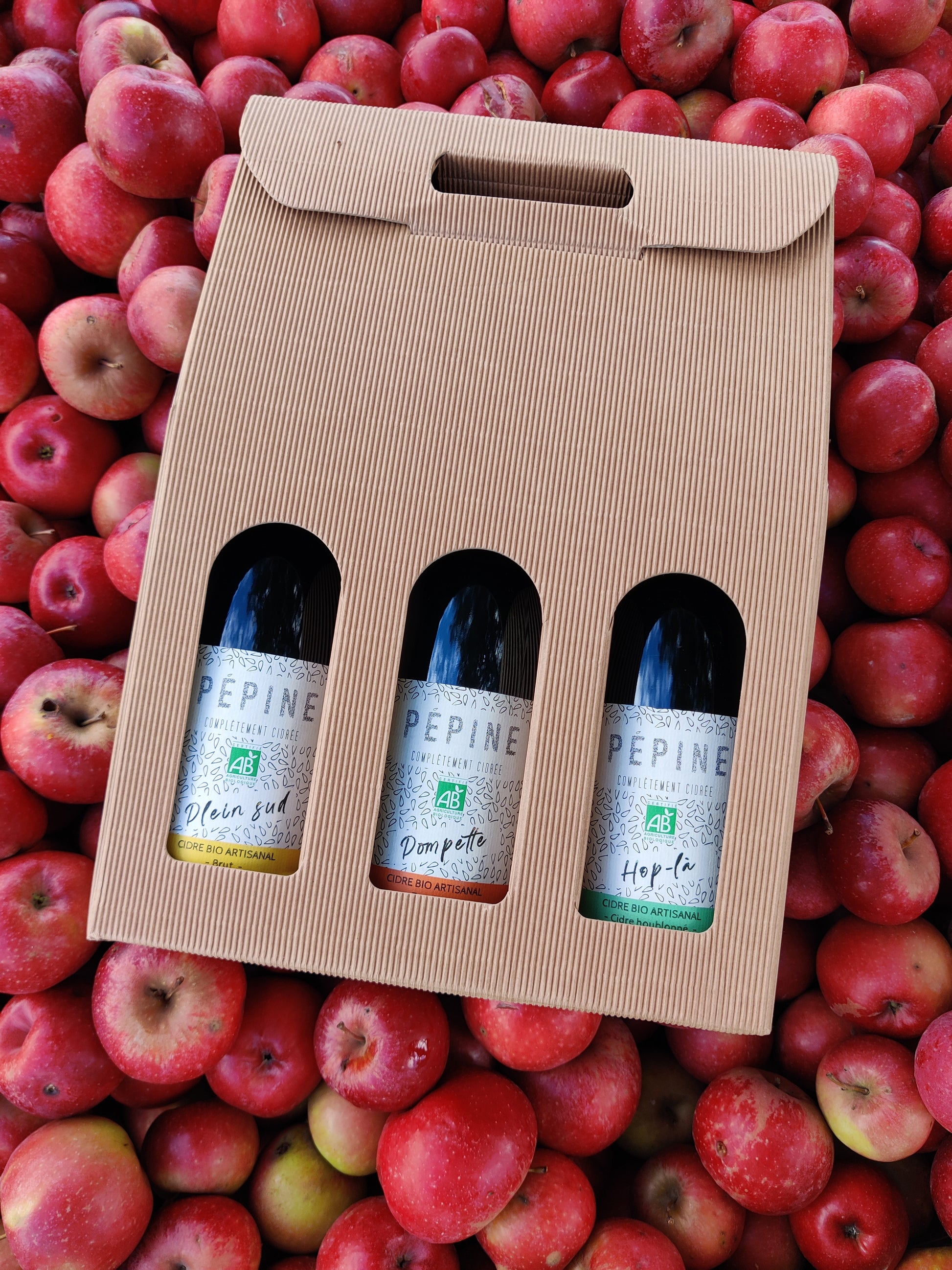 Coffret cadeau 75cl plein sud, pompette, hop là
