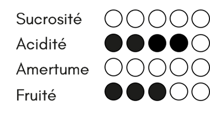 Symbiose Abricot - Cuvée 2023